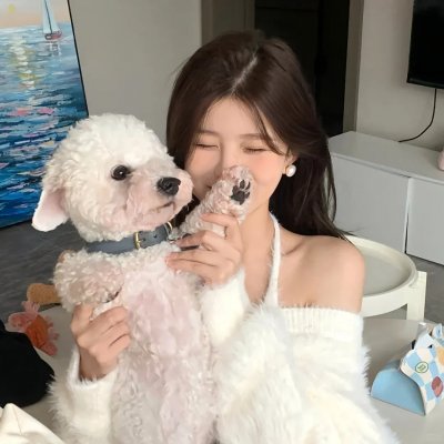 太极熊猫
