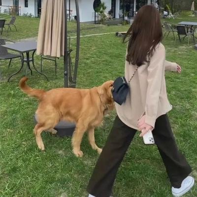 庞克的六月